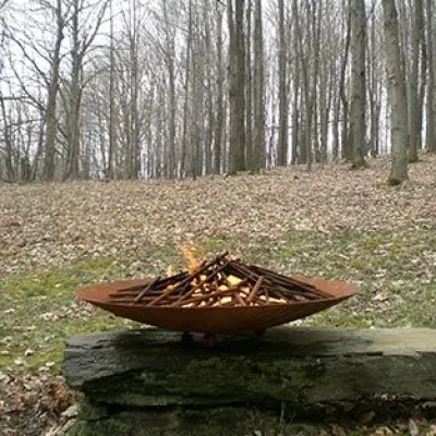 45NL MILD STEEL FIREBOWL W BRANCH INSERT - Firefeatures